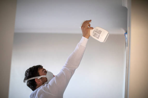 Best Post-Flood Mold Remediation in Pierre, SD